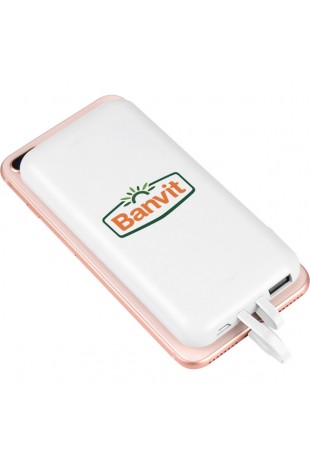 Powerbank