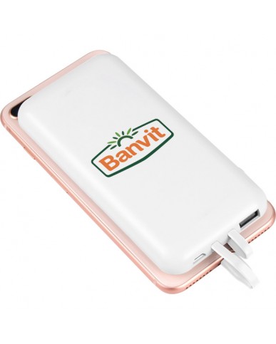 Powerbank