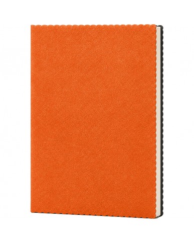 Tarihsiz Defter