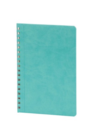 Spiralli Ajanda Kapak