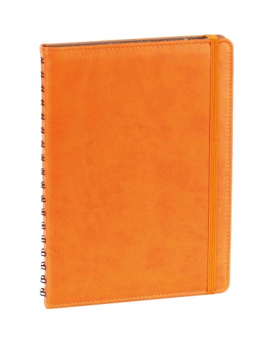 Gizli Spiralli Günlük Ajanda