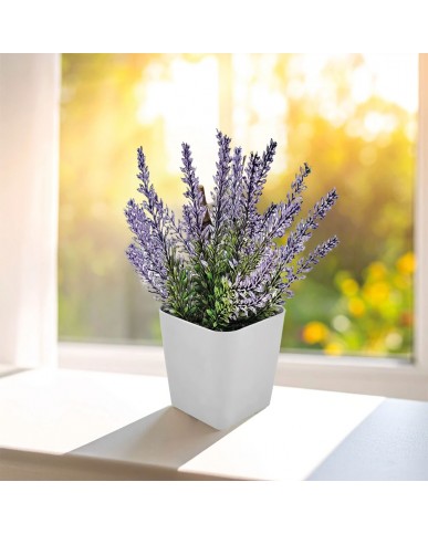 Bitki Yetiştirme Seti