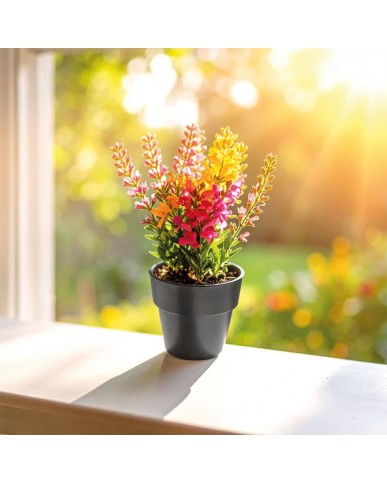 Bitki Yetiştirme Seti