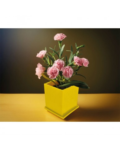 Kapaklı Bitki Dikim Seti